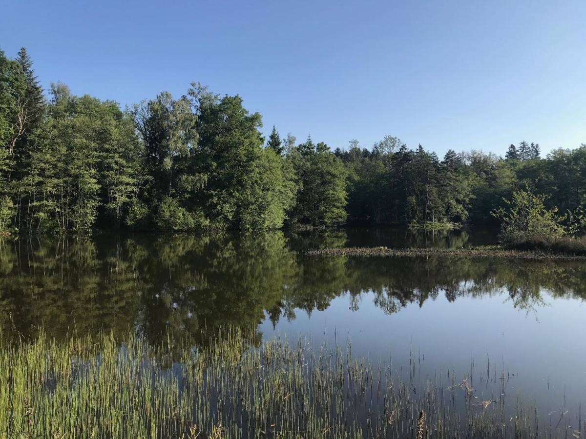 Gite Des Prary Des Mille Etangs Ternuay-Melay-et-Saint-Hilaire Exterior photo
