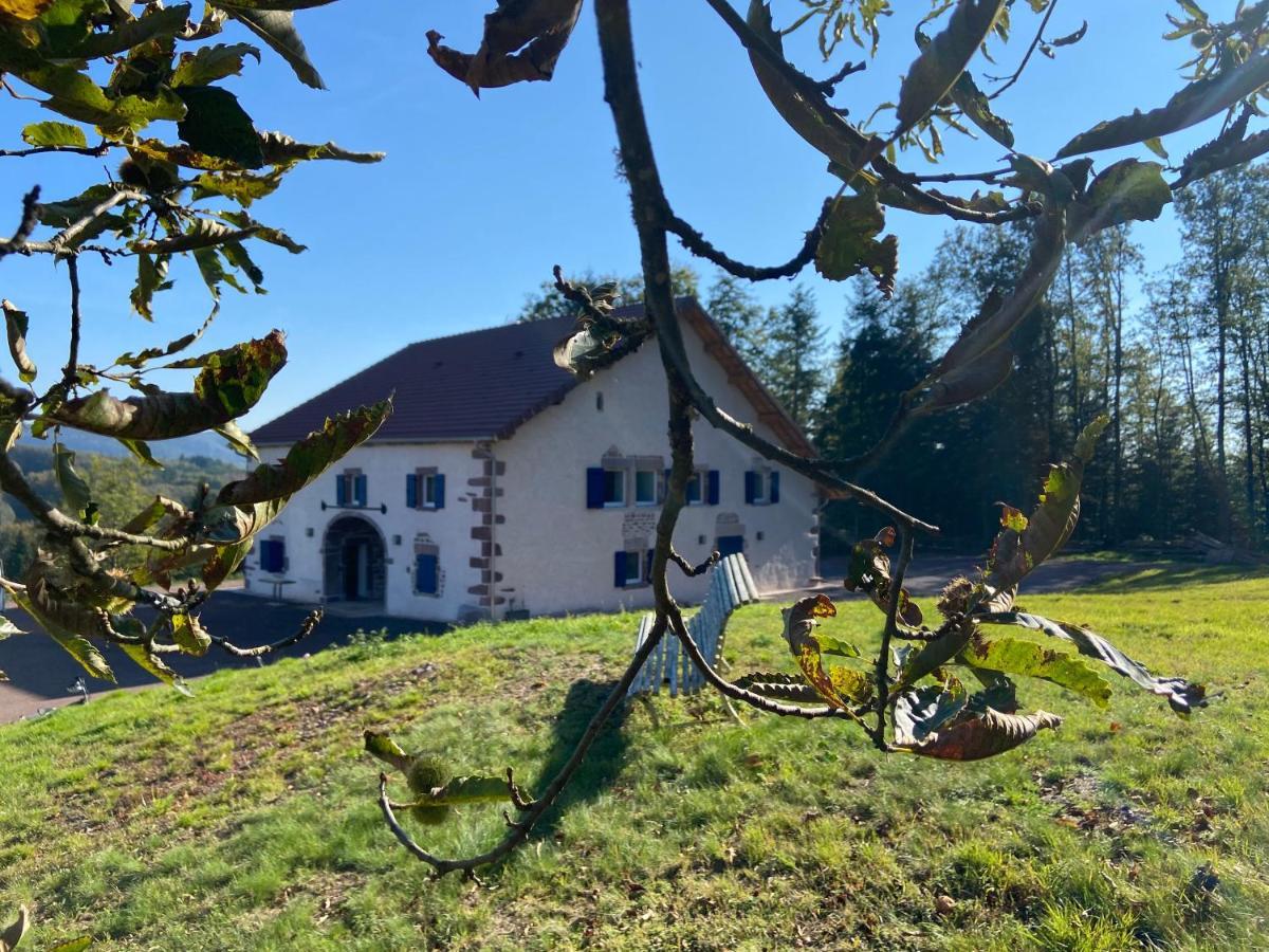 Gite Des Prary Des Mille Etangs Ternuay-Melay-et-Saint-Hilaire Exterior photo