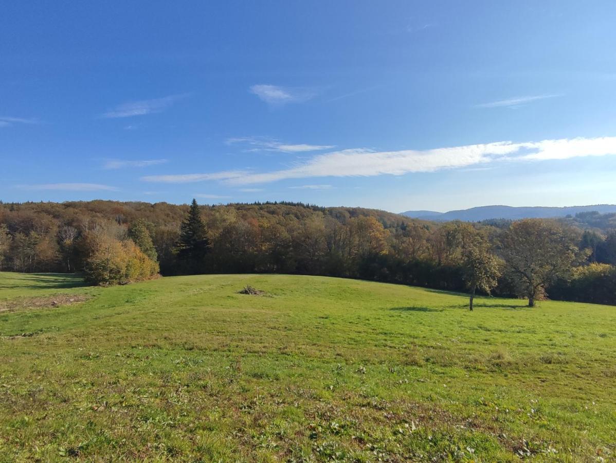 Gite Des Prary Des Mille Etangs Ternuay-Melay-et-Saint-Hilaire Exterior photo