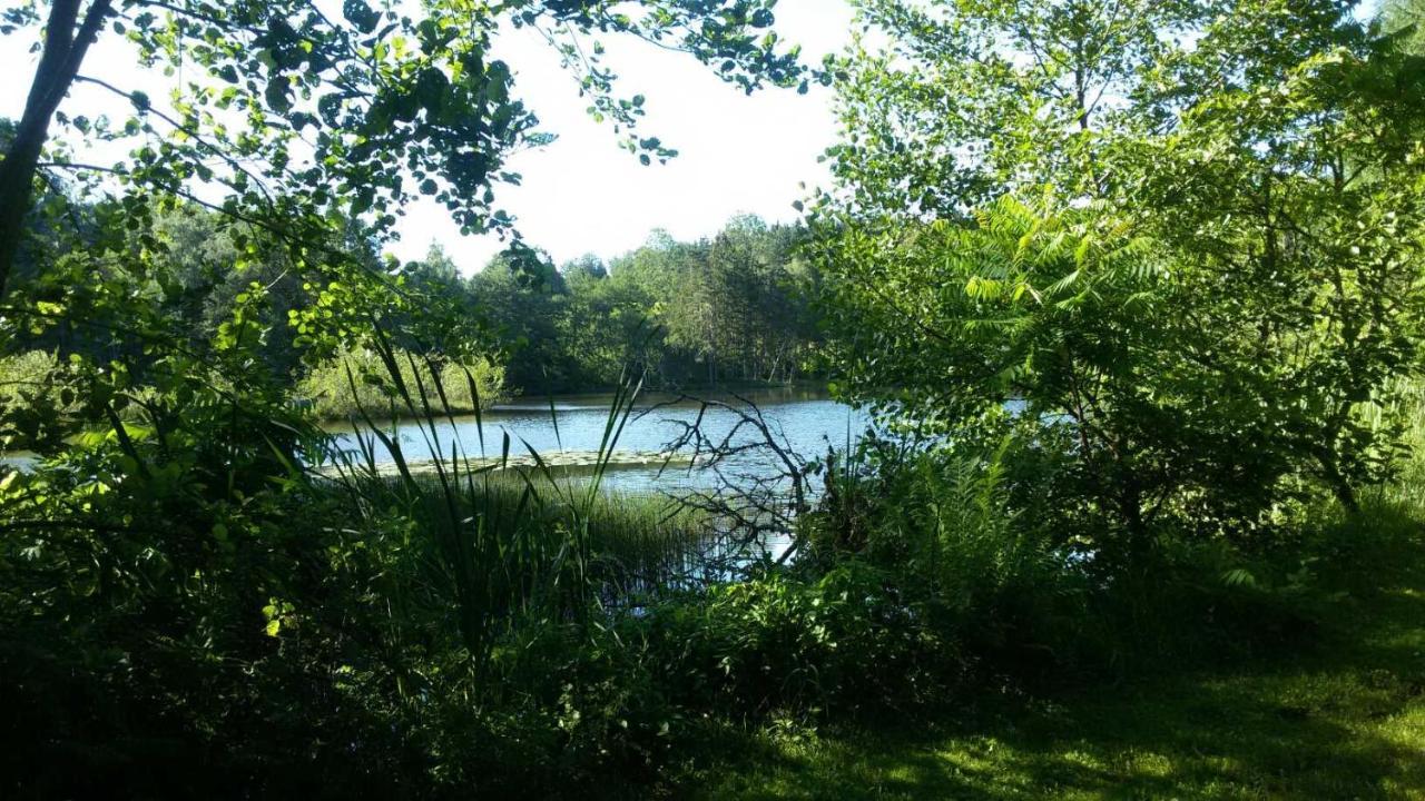 Gite Des Prary Des Mille Etangs Ternuay-Melay-et-Saint-Hilaire Exterior photo